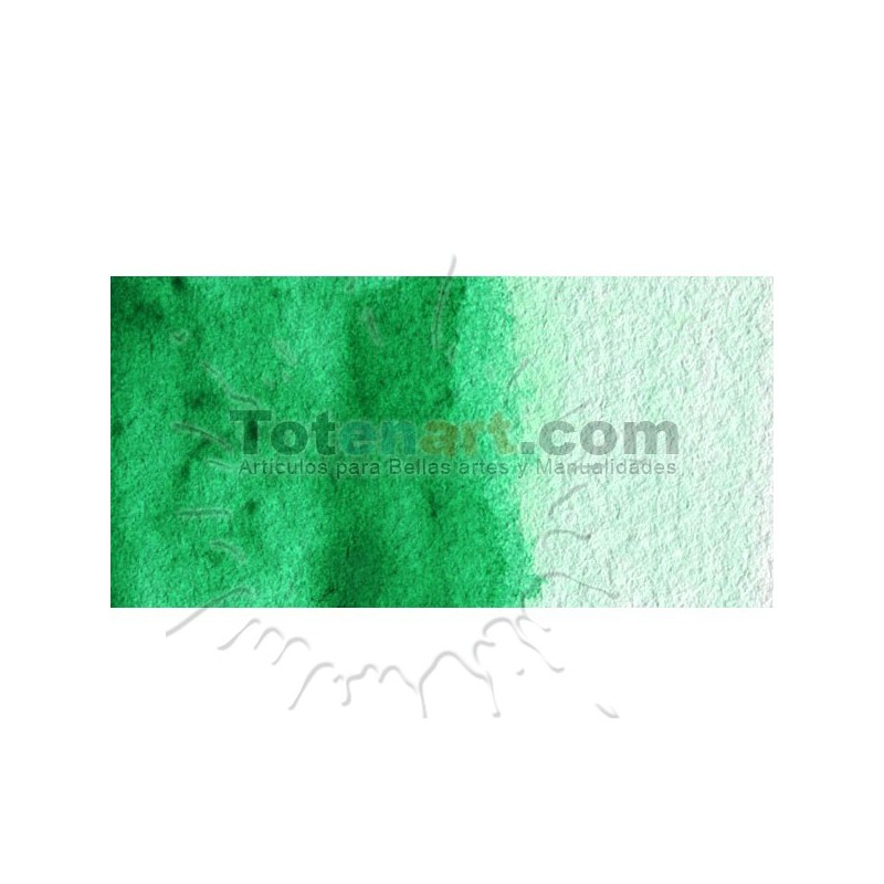 Material Bellas Artes - Pintura - Acuarela Cotman Winsor & Newton 1/2 godet color verde intenso | totenart.com