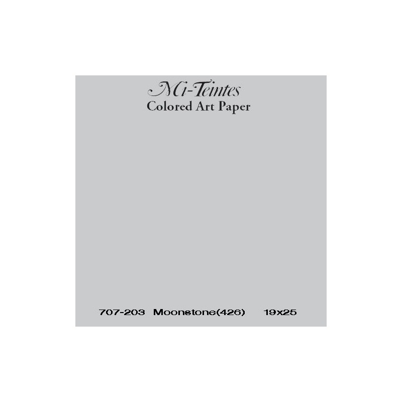 Mi-teintes Canson Gris Claro, 160 gr., 50x65 cm.