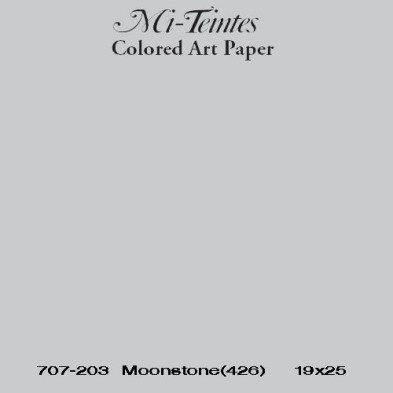 Mi-teintes Canson Gris Claro, 160 gr., 50x65 cm.