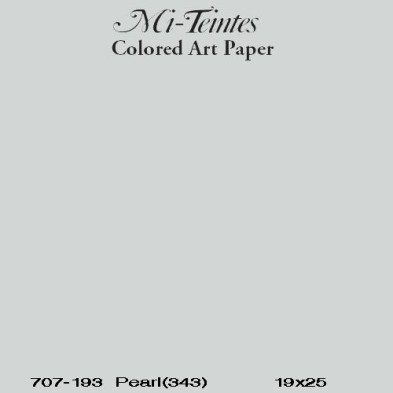 Mi-teintes Canson Gris Trianon, 160 gr., 50x65 cm.