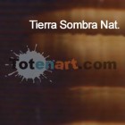 Material Bellas Artes - Pintura - Óleo Titan extra fino color tierra sombra natural (20 ml) | totenart.com