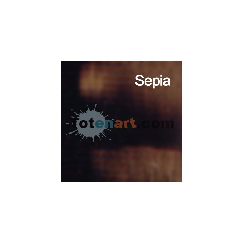 Material Bellas Artes - Pintura - Óleo Titan extra fino color sepia (60 ml) | totenart.com