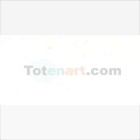 Material Bellas Artes - Pintura - Óleo Van Gogh color blanco zinc (60 ml) | totenart.com