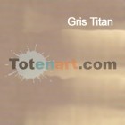Material Bellas Artes - Pintura - Óleo Titan extra fino color gris Titan (60 ml) | totenart.com
