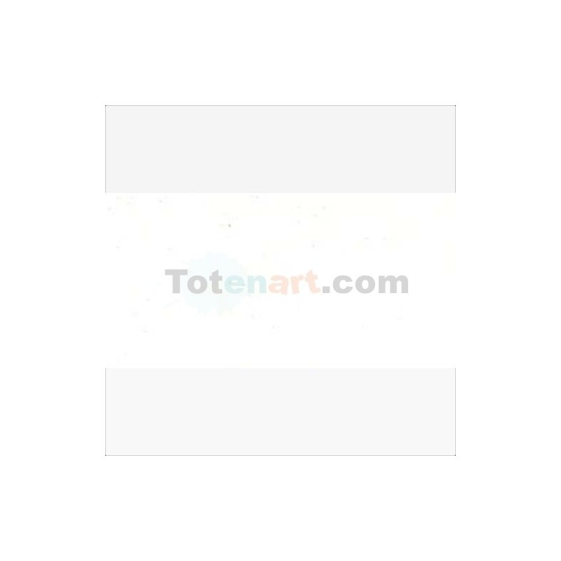 Material Bellas Artes - Pintura - Óleo Van Gogh color blanco zinc (200 ml) | totenart.com