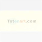 Material Bellas Artes - Pintura - Óleo Van Gogh color blanco titanio de linaza (200 ml) | totenart.com