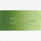 Material Bellas Artes - Pintura - Óleo Van Gogh color verde vejiga (200 ml) | totenart.com