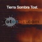 Material Bellas Artes - Pintura - Óleo Titan extra fino color tierra sombra tostada (200 ml) | totenart.com