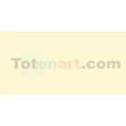 Material Bellas Artes-Dibujo-Rotulador Tombow Peach doble punta pincel 