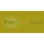 Material Bellas Artes-Dibujo-Rotulador Tombow Avocado doble punta pincel 