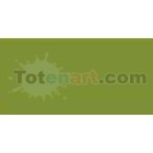 Material Bellas Artes-Dibujo-Rotulador Tombow Dark Olive doble punta pincel 