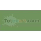 Material Bellas Artes-Dibujo-Rotulador Tombow Aspargus doble punta pincel 