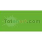 Material Bellas Artes-Dibujo-Rotulador Tombow Light Green doble punta pincel 