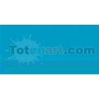 Material Bellas Artes-Dibujo-Rotulador Tombow Turquoise doble punta pincel 