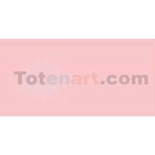 Material Bellas Artes-Dibujo-Rotulador Tombow Carnation doble punta pincel 