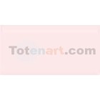 Material Bellas Artes-Dibujo-Rotulador Tombow Baby Pink doble punta pincel 