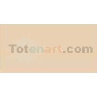 Material Bellas Artes-Dibujo-Rotulador Tombow Tan doble punta pincel 