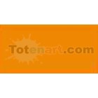 Material Bellas Artes-Dibujo-Rotulador Tombow Gold Ochre doble punta pincel 