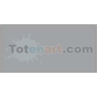 Material Bellas Artes-Dibujo-Rotulador Tombow Cool Gray 5 doble punta pincel 