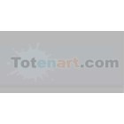Material Bellas Artes-Dibujo-Rotulador Tombow Cool Gray 3 doble punta pincel 