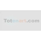 Material Bellas Artes-Dibujo-Rotulador Tombow Cool Gray 1 doble punta pincel 
