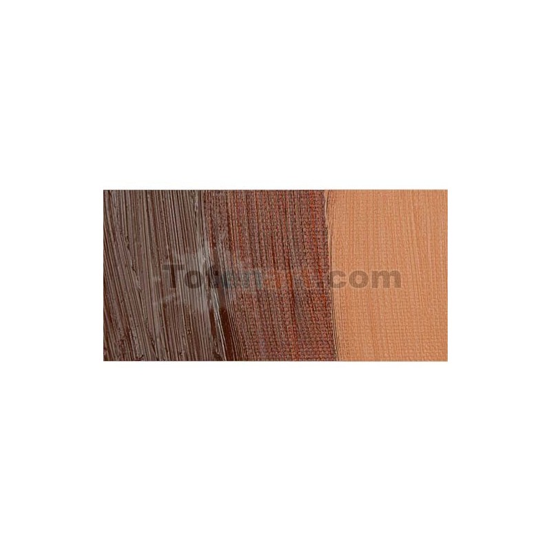 Material Bellas Artes - Pintura - Óleo Winsor & Newton Artists color siena tostada (37 ml) | totenart.com