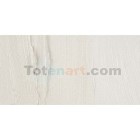 Material Bellas Artes - Pintura - Óleo Winsor & Newton Artists color blanco iridiscente (37 ml) | totenart.com