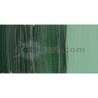 Material Bellas Artes - Pintura - Óleo Winsor & Newton Artists color tierra verde (37 ml) | totenart.com