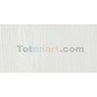 Material Bellas Artes - Pintura - Óleo Winsor & Newton Artists color blanco de titanio (37 ml) | totenart.com