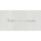 Material Bellas Artes - Pintura - Óleo Winsor & Newton Artists color blanco subcapa (37 ml) | totenart.com