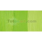 Material Bellas Artes - Pintura - Óleo Winsor & Newton Artists color verde cadmio pálido (37 ml) | totenart.com