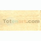 Material Bellas Artes - Pintura - Acrílico Vallejo Artist color titanio crudo (200 ml) | totenart.com