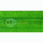 Material Bellas Artes - Pintura - Acrílico Vallejo Artist color verde vejiga (200 ml) | totenart.com