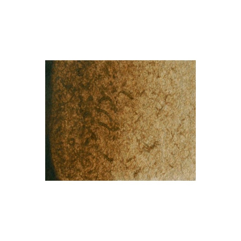 Material Bellas Artes - Pintura - Acuarela Artist Winsor & Newton color sombra tostada (5 ml) | totenart.com