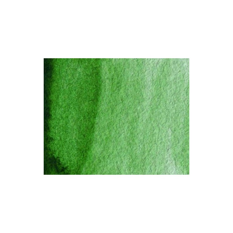 Material Bellas Artes - Pintura - Acuarela Artist Winsor & Newton color verde Hooker (5 ml) | totenart.com