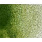 Material Bellas Artes - Pintura - Acuarela Artist Winsor & Newton color verde oliva (5 ml) | totenart.com