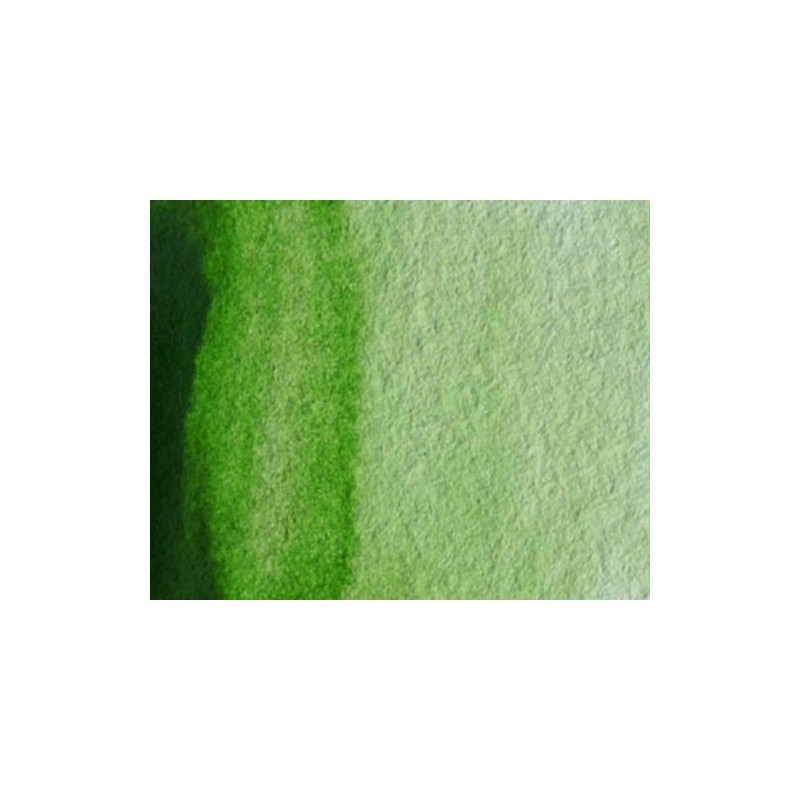 Material Bellas Artes - Pintura - Acuarela Artist Winsor & Newton color verde vejiga permanente (5 ml) | totenart.com