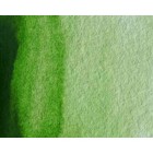 Material Bellas Artes - Pintura - Acuarela Artist Winsor & Newton color verde vejiga permanente (5 ml) | totenart.com