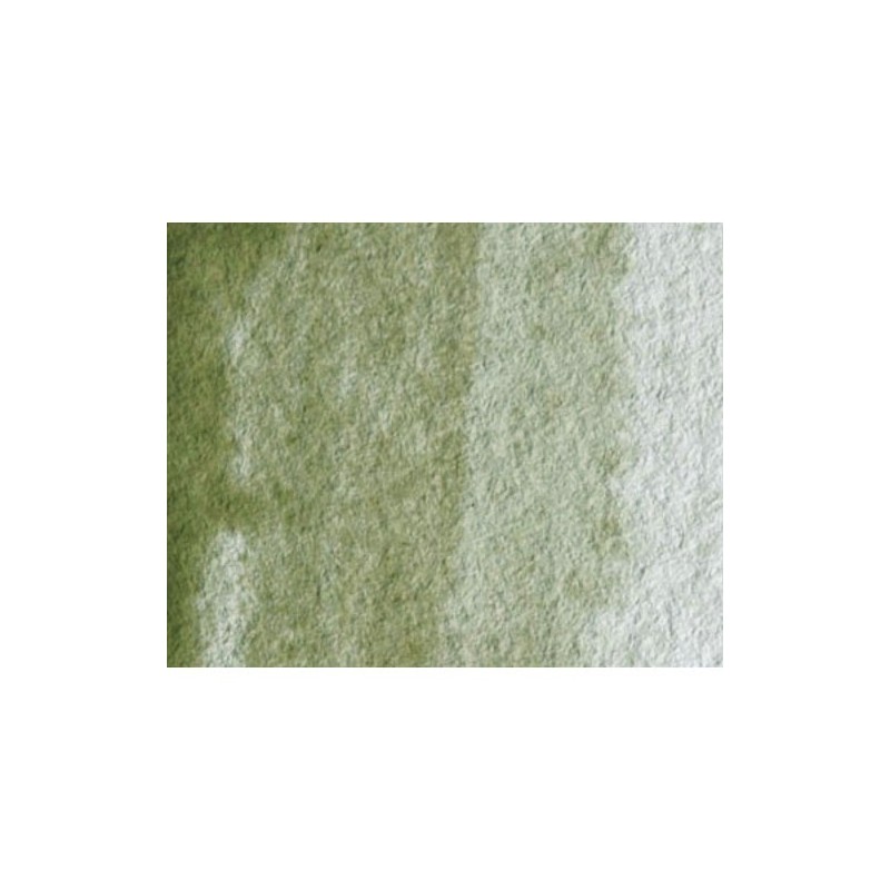 Material Bellas Artes - Pintura - Acuarela Artist Winsor & Newton color tierra verde sombra amarilla (5 ml) | totenart.com