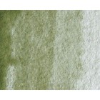 Material Bellas Artes - Pintura - Acuarela Artist Winsor & Newton color tierra verde sombra amarilla (5 ml) | totenart.com