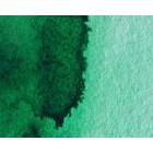 Material Bellas Artes - Pintura - Acuarela Artist Winsor & Newton color verde Winsor sombra amarilla (5 ml) | totenart.com