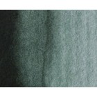 Material Bellas Artes - Pintura - Acuarela Artist Winsor & Newton color verde de perileno (5 ml) | totenart.com