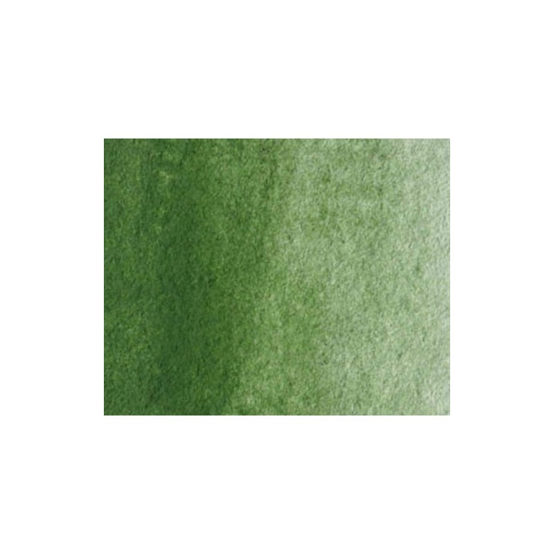 Material Bellas Artes - Pintura - Acuarela Artist Winsor & Newton color óxido de cromo (5 ml) | totenart.com