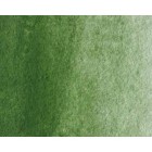 Material Bellas Artes - Pintura - Acuarela Artist Winsor & Newton color óxido de cromo (5 ml) | totenart.com