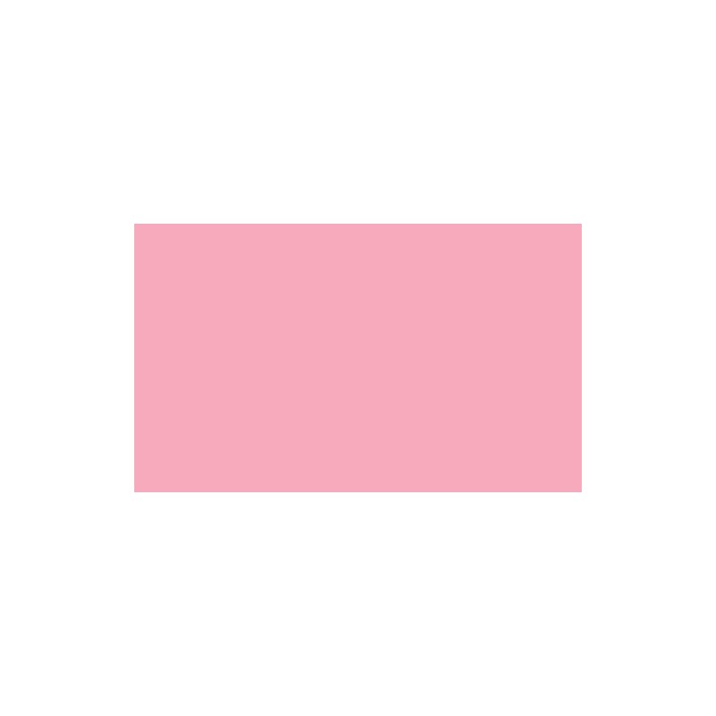 Material Bellas Artes - Pintura - Rotulador Promarker Rose Pink M727 | totenart.com