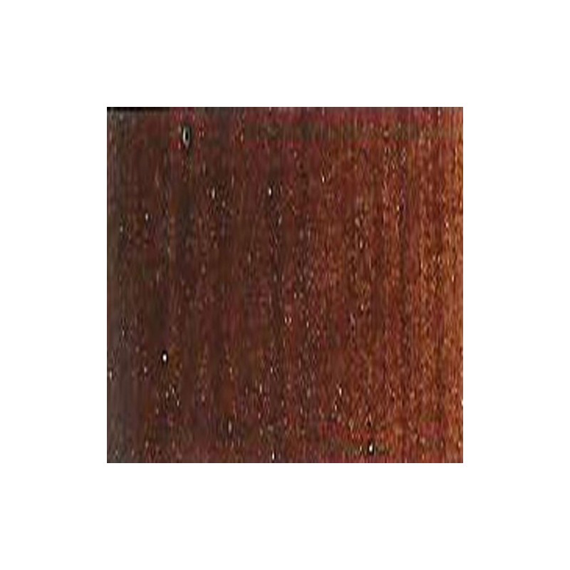 Material Bellas Artes - Pintura - Óleo Winsor & Newton Winton color tierra sombra tostada (200 ml) | totenart.com