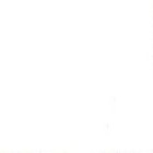 Material Bellas Artes - Pintura - Óleo Winsor & Newton Winton color blanco de titanio (200 ml) | totenart.com