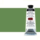 Material Bellas Artes - Pintura - Acrílico Vallejo Artist color verde permanente (60 ml) | totenart.com