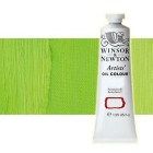 Material Bellas Artes - Pintura - Óleo Winsor & Newton Artists color verde cadmio pálido (37 ml) | totenart.com
