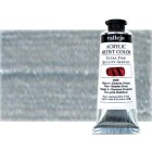 Material Bellas Artes - Pintura - Acrílico Vallejo Artist color plata antigua (60 ml) | totenart.com